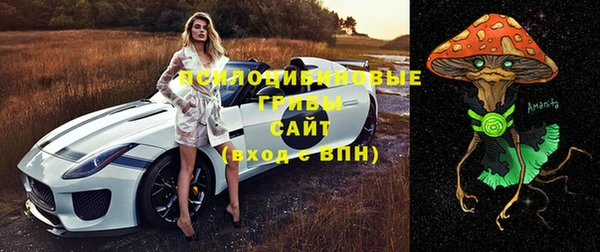 бошки Беломорск
